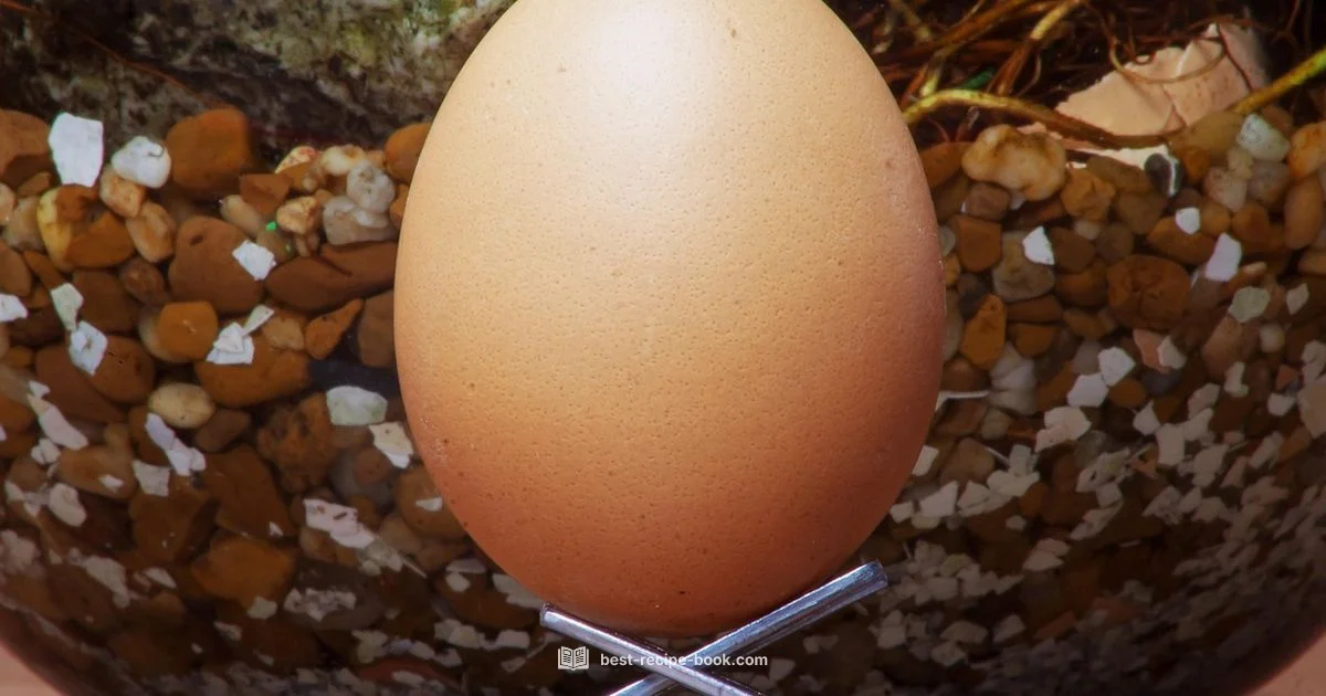 Halve with One Egg Halve with One Egg - Best Recipe Book