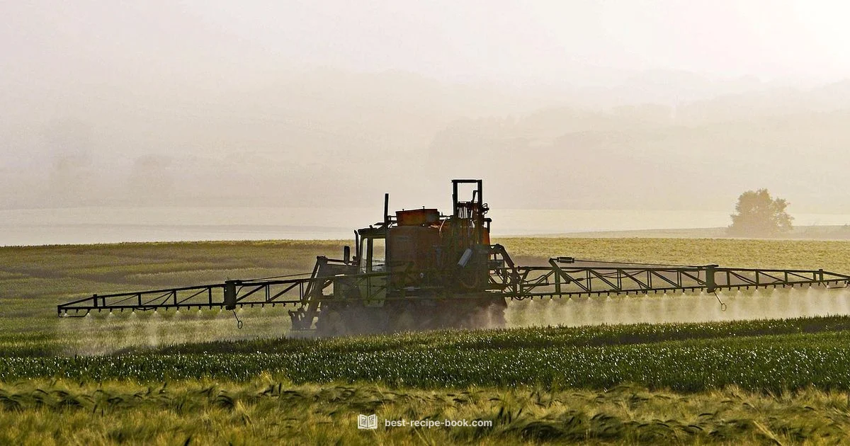 Vinegar Weed Killer Vinegar Weed Killer - Best Recipe Book