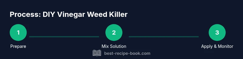 Infographic showing a simple 3-step process for making and applying a vinegar weed killer