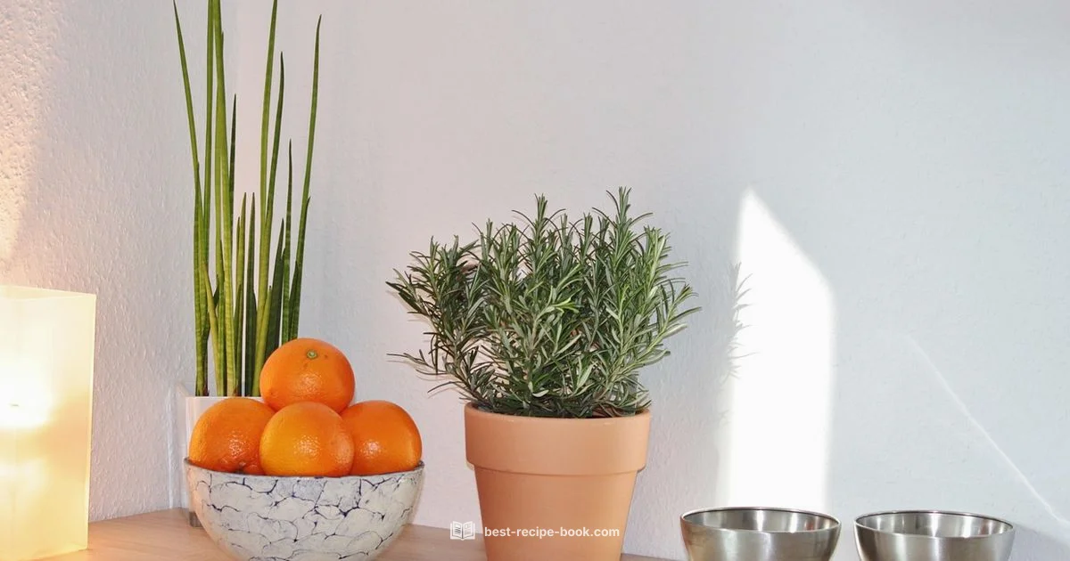 KFC Coleslaw at Home - Best Recipe Book