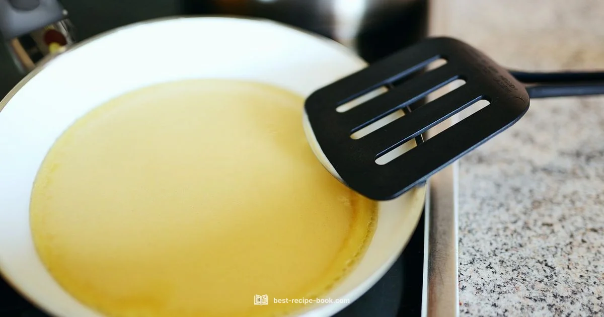 Pancake Recipe Basics Pancake Recipe Basics - Best Recipe Book