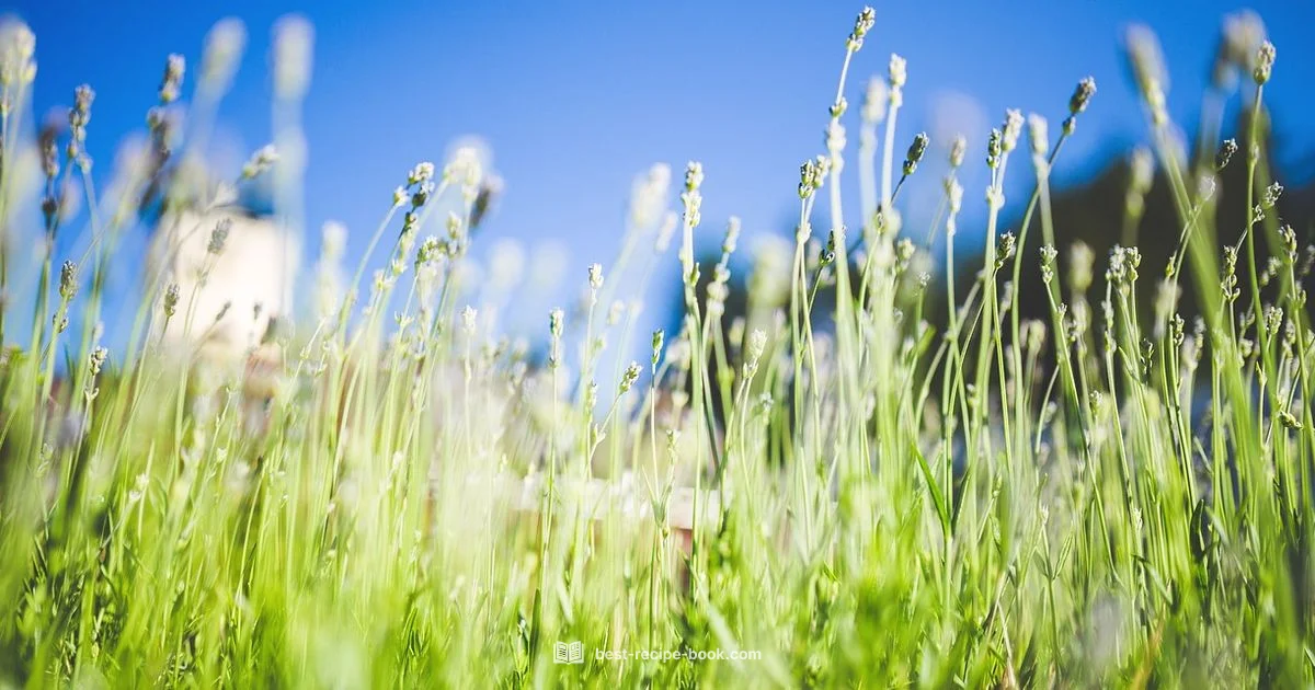 Recipe Costing Guide Recipe Costing Guide - Best Recipe Book