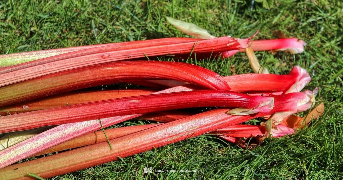 Spring Rhubarb Delights - Best Recipe Book