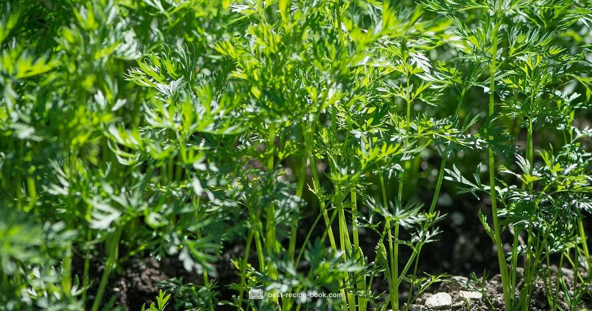 Golden Baked Carrots - Best Recipe Book