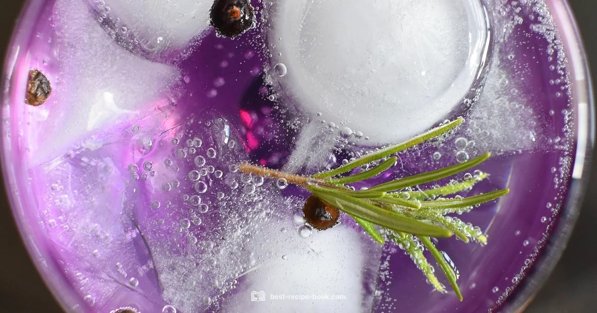 Gin & Tonic Guide Gin & Tonic Guide - Best Recipe Book