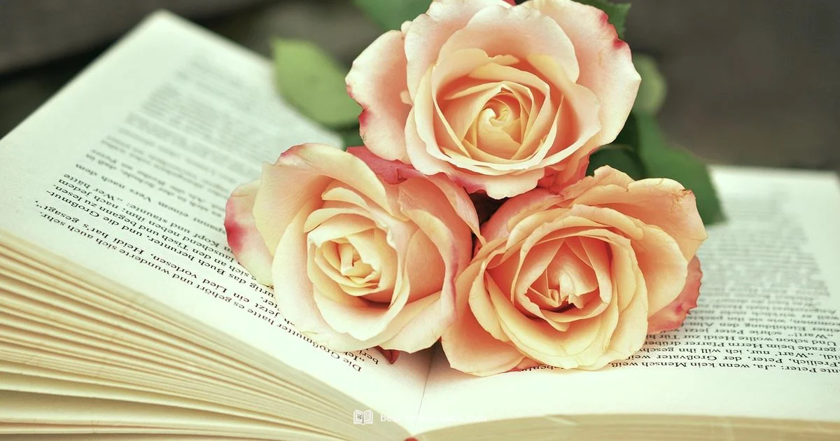 Shutterfly Cookbook - Best Recipe Book