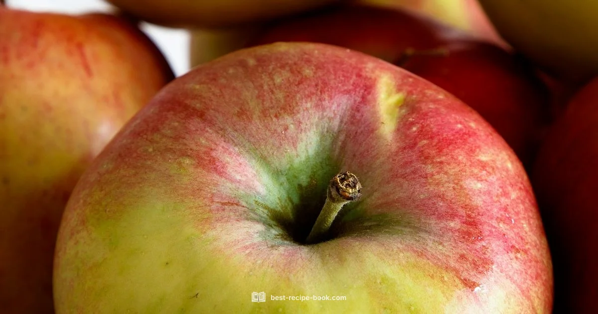 Apple Recipe Guide - Best Recipe Book