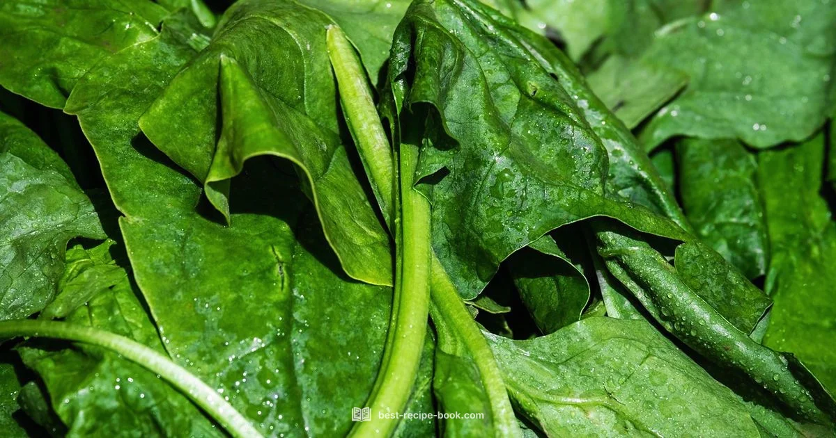 Spinach Recipe Spotlight Spinach Recipe Spotlight - Best Recipe Book