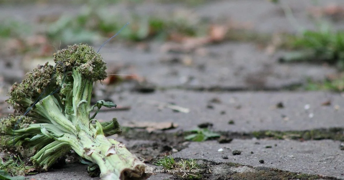 Leftover Turkey Ideas Leftover Turkey Ideas - Best Recipe Book