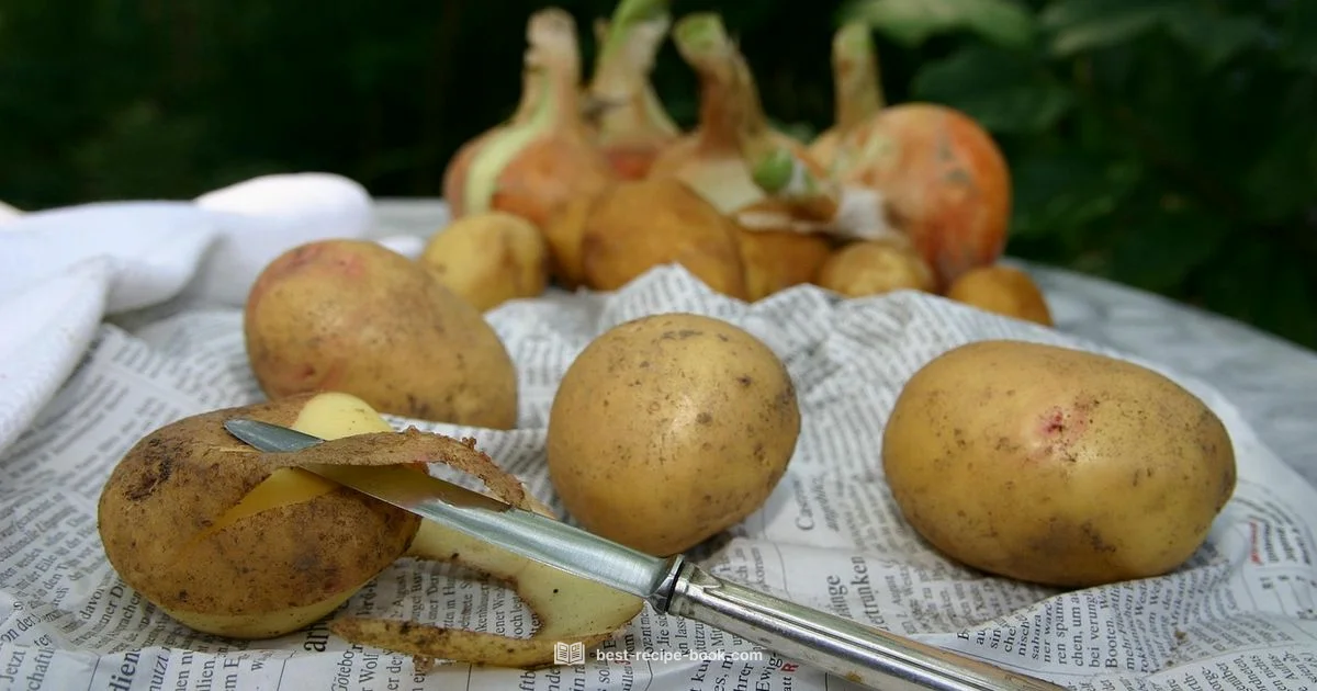 Microwave Potato Mastery - Best Recipe Book