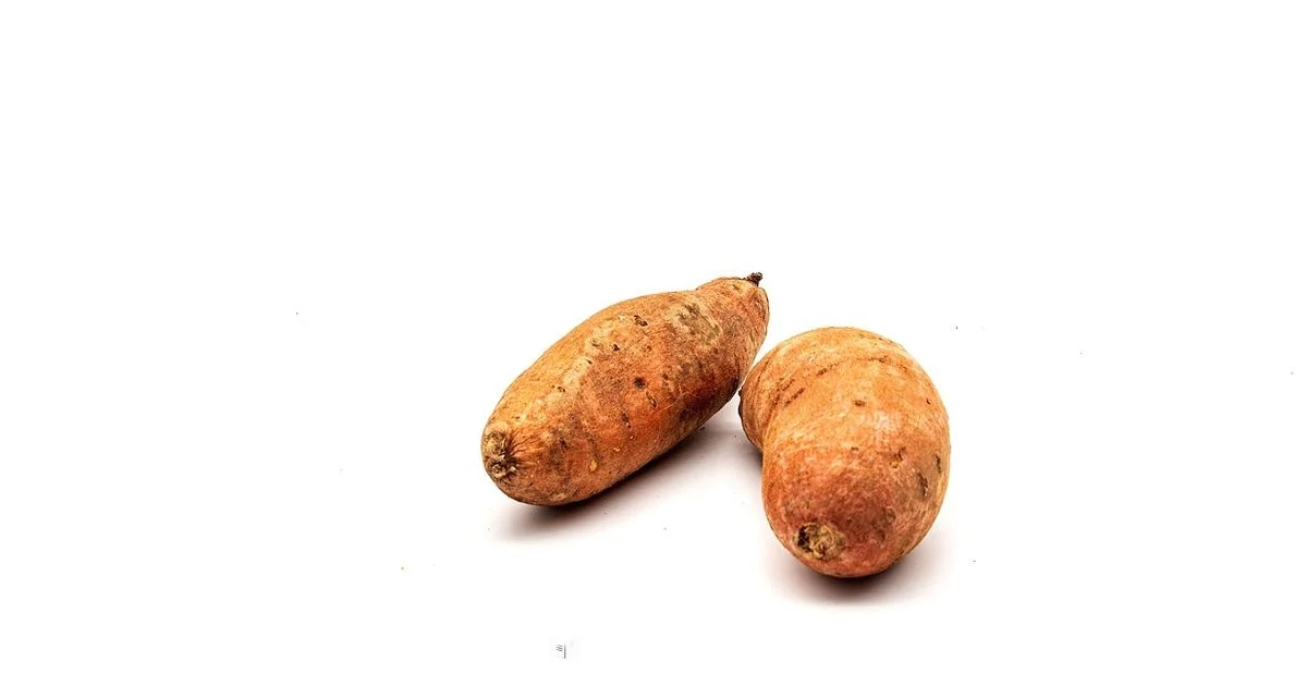 Crispy Sweet Potatoes - Best Recipe Book