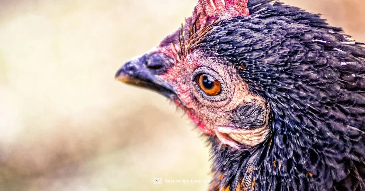 Franchise-Style Chicken - Best Recipe Book