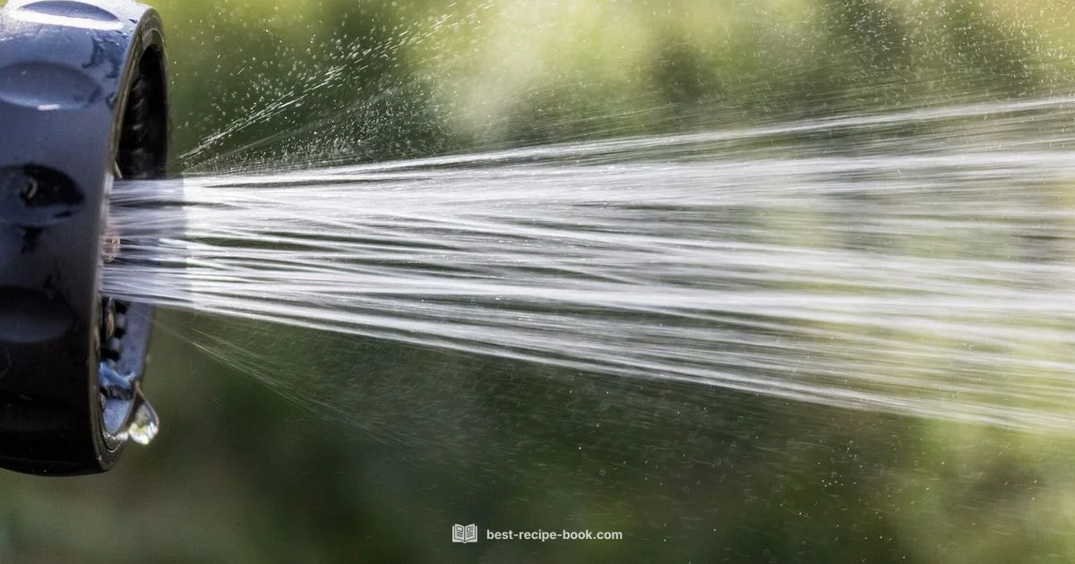 Vinegar Weed Killer Vinegar Weed Killer - Best Recipe Book