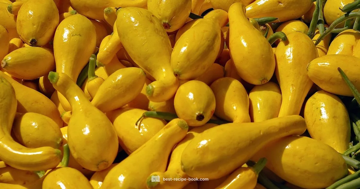 Bright Yellow Squash Recipes Bright Yellow Squash Recipes - Best Recipe Book