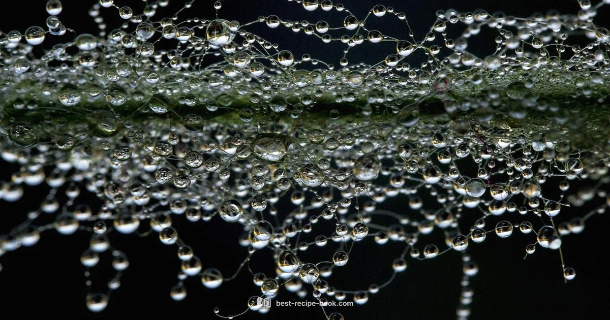 Dew Drops Longevity Dew Drops Longevity - Best Recipe Book