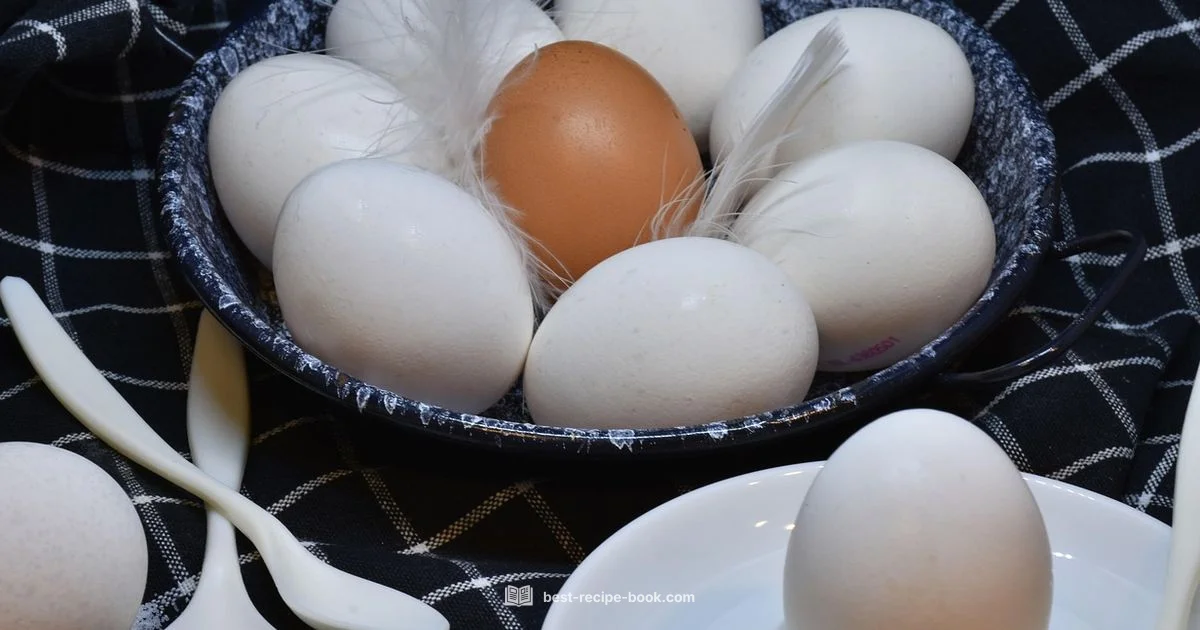 Breakfast Egg Mastery - Best Recipe Book