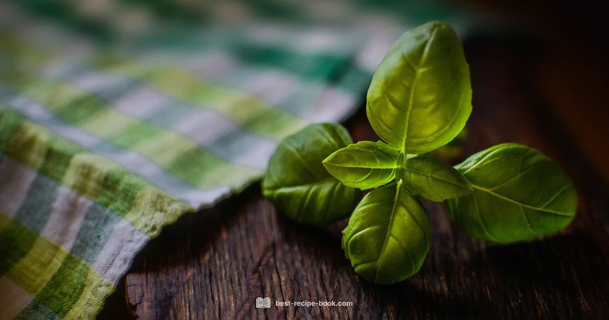 Sofrito Essentials - Best Recipe Book