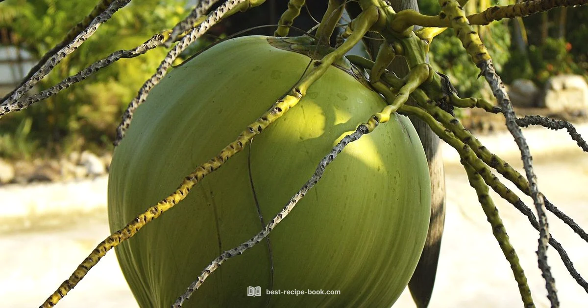 Coconut Shrimp Guide - Best Recipe Book