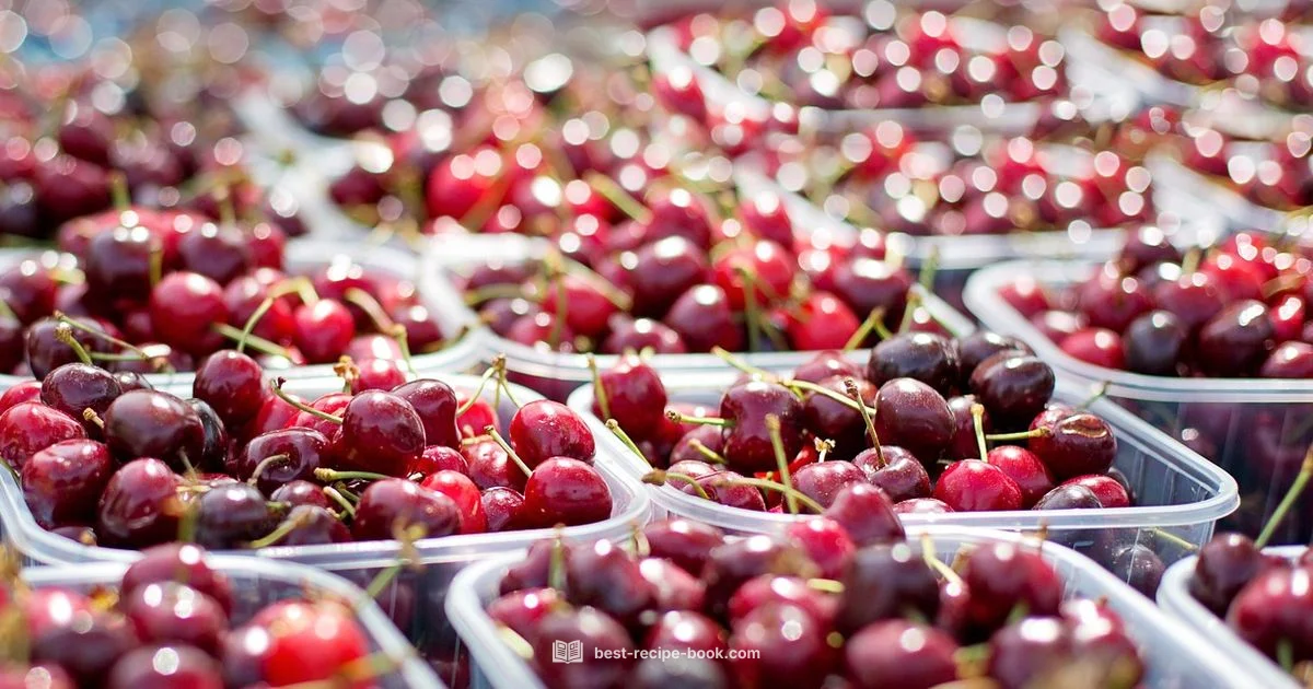 Summer Dinners 101 - Best Recipe Book
