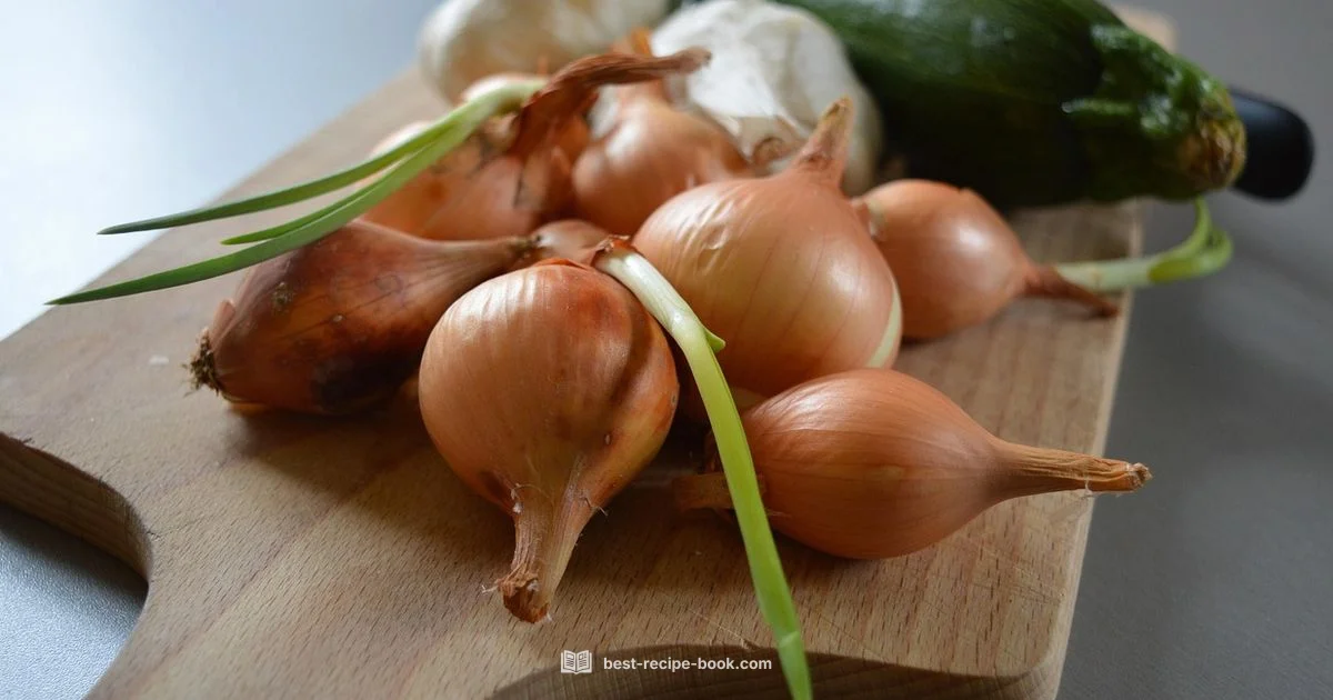 Zucchini & Squash Prep - Best Recipe Book