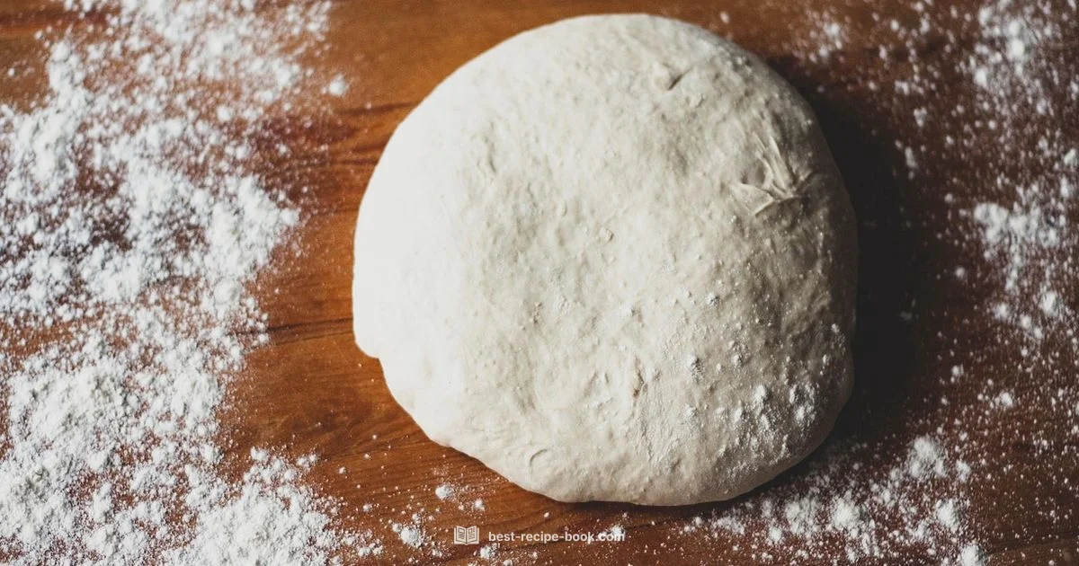 Pizza Dough Guide - Best Recipe Book