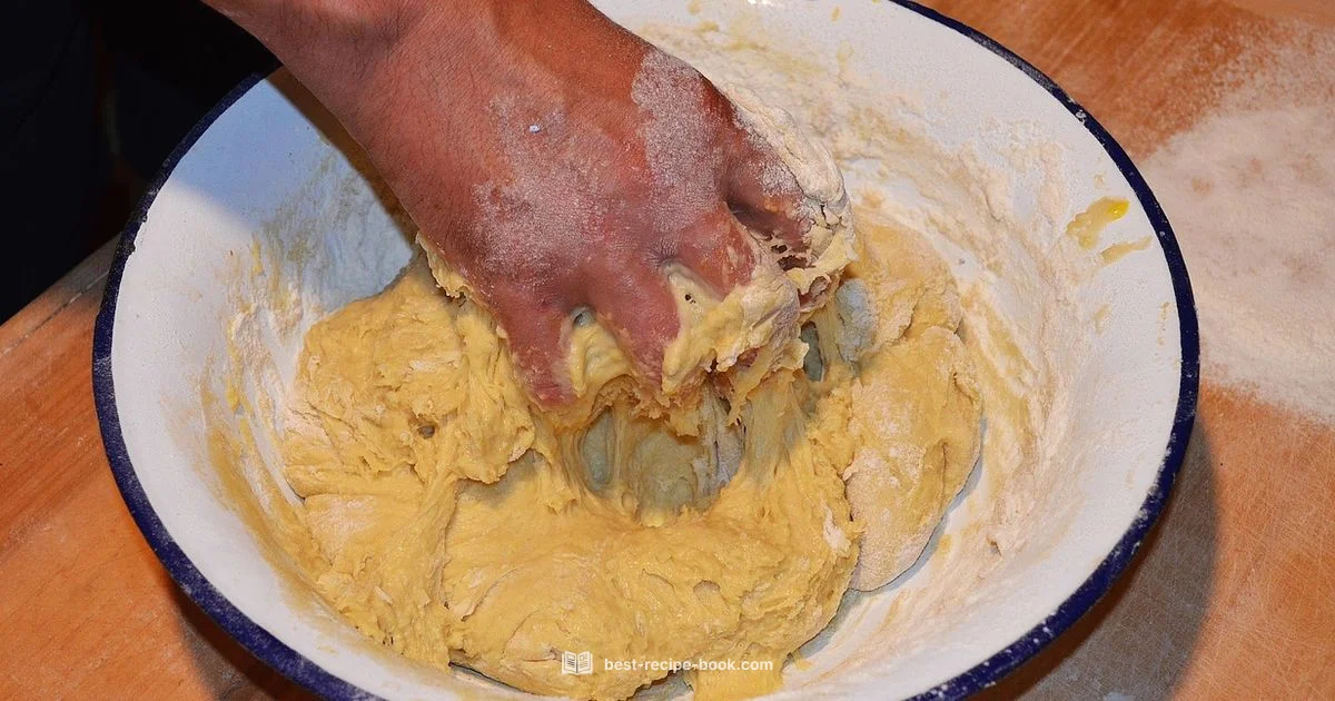 Perfect Pizza Dough - Best Recipe Book