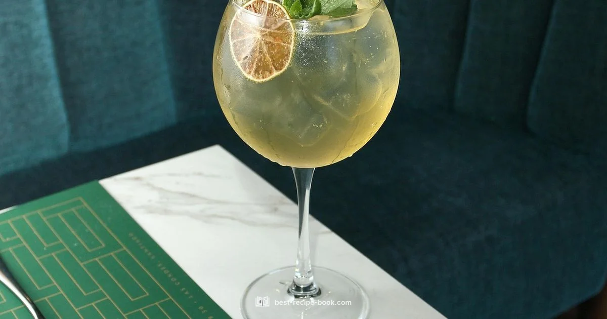 Tom Collins Guide - Best Recipe Book