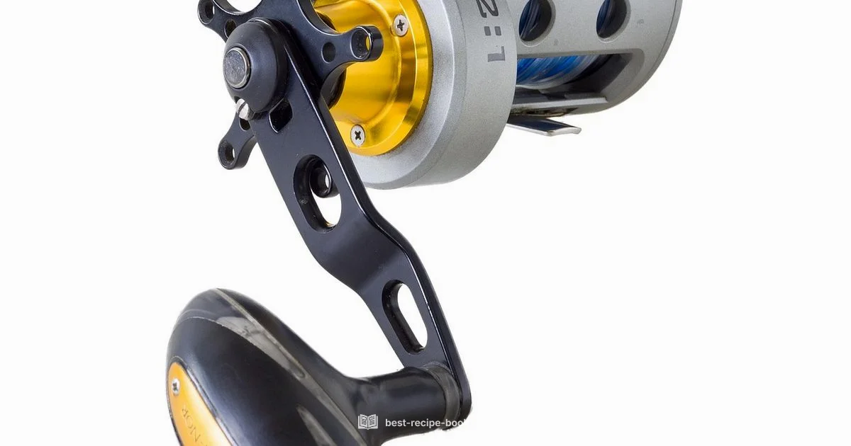 Reels Recipe Guide - Best Recipe Book