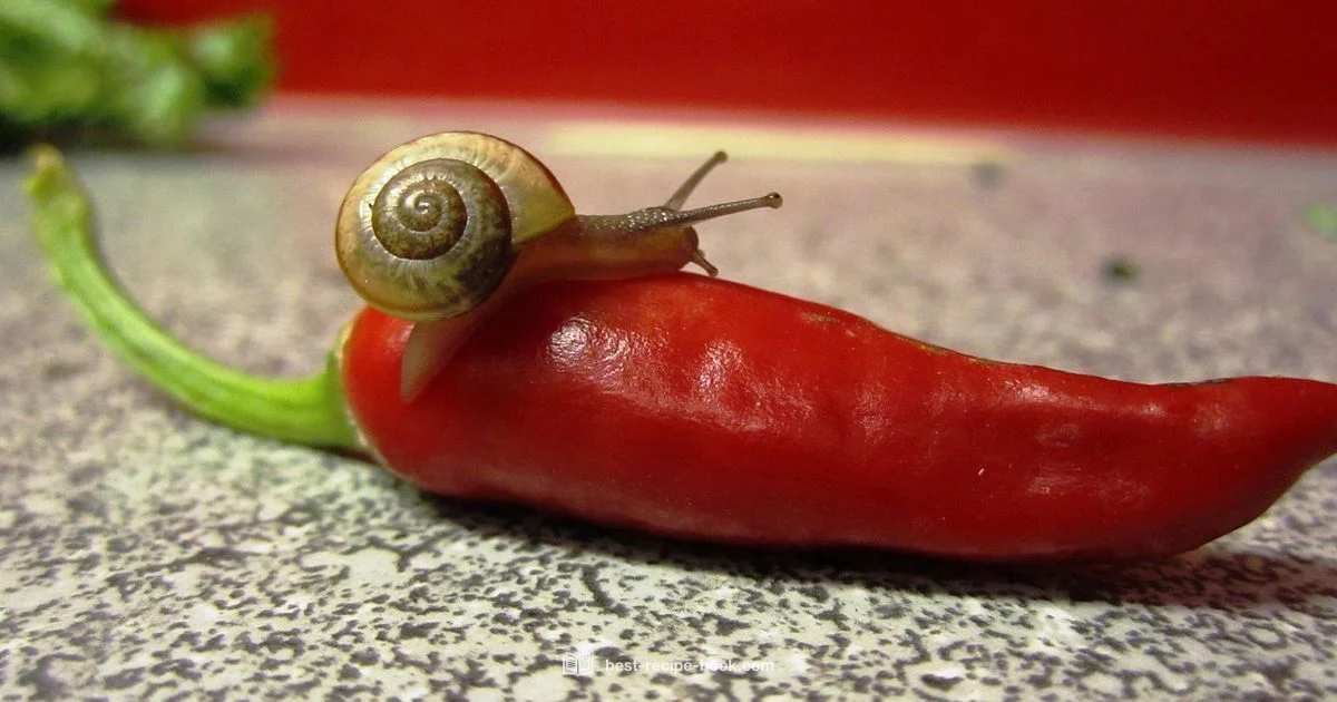 Slow Cooker Chili - Best Recipe Book