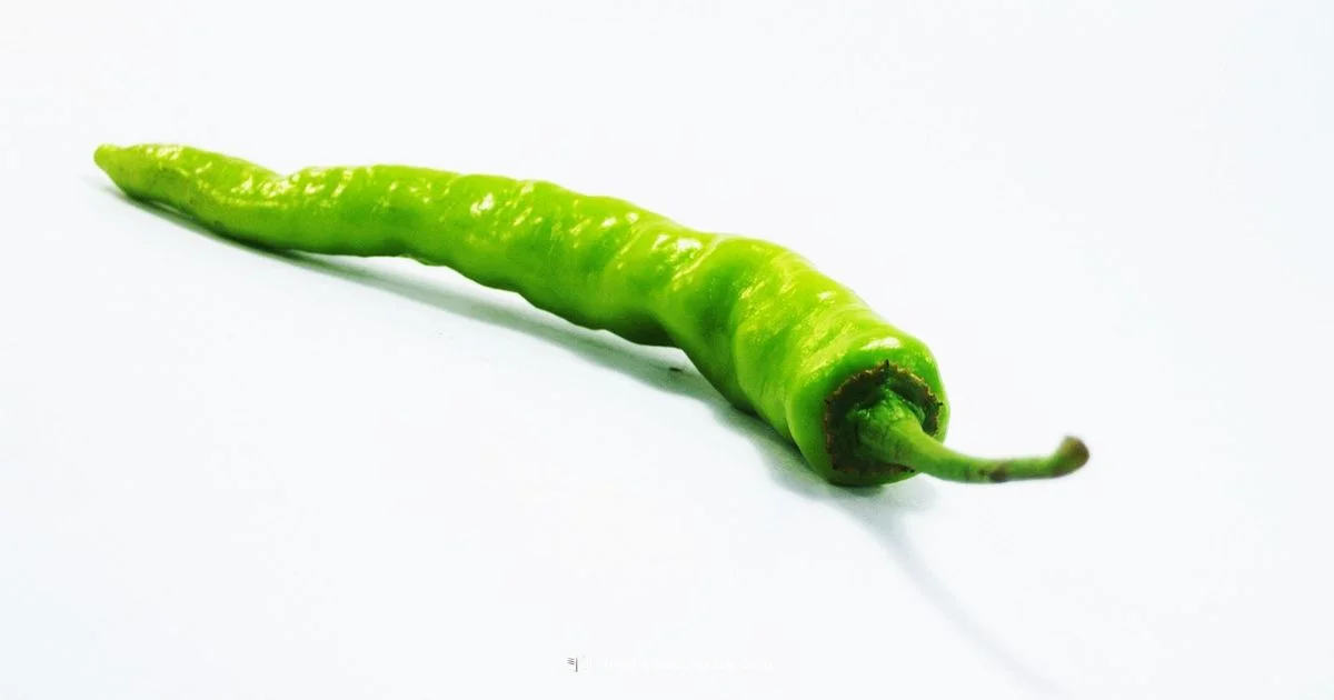 Mexican Recipes Guide Mexican Recipes Guide - Best Recipe Book