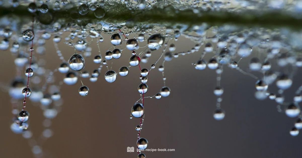 Glow Recipe Dew Drops Guide - Best Recipe Book