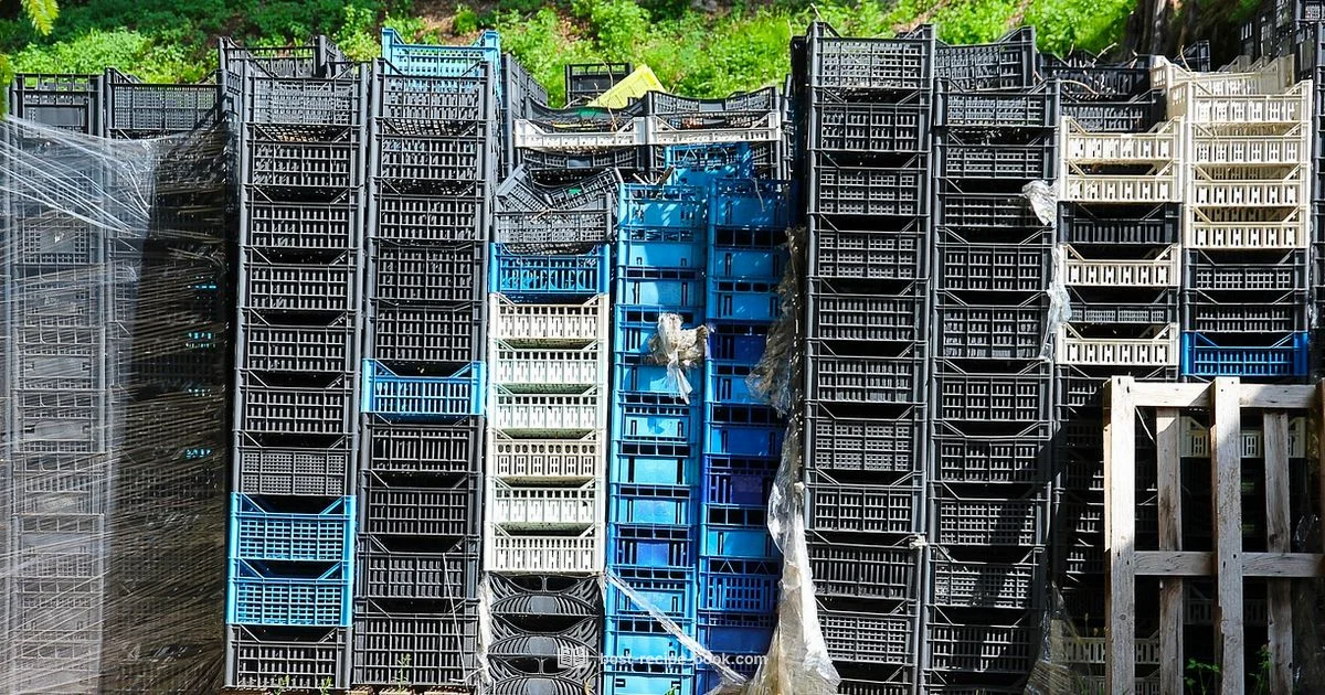 Declutter Recipes - Best Recipe Book