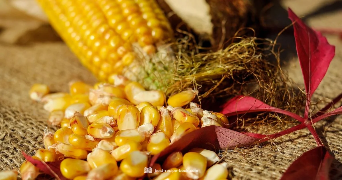 Corn Salad Freshness - Best Recipe Book