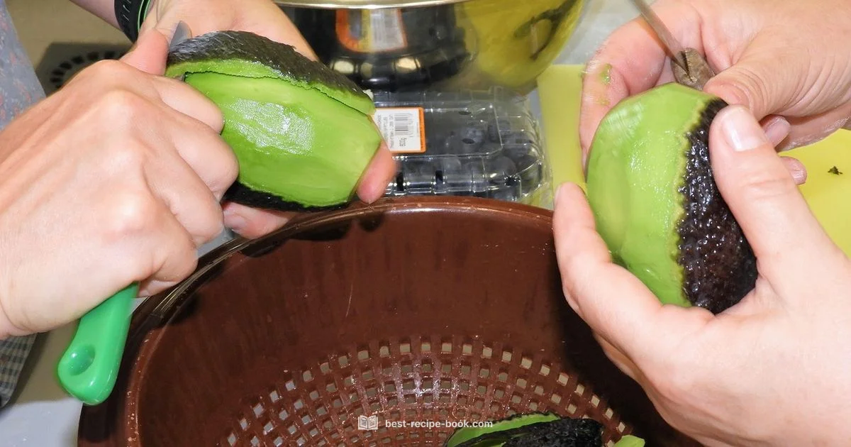 Avocado Recipes - Best Recipe Book