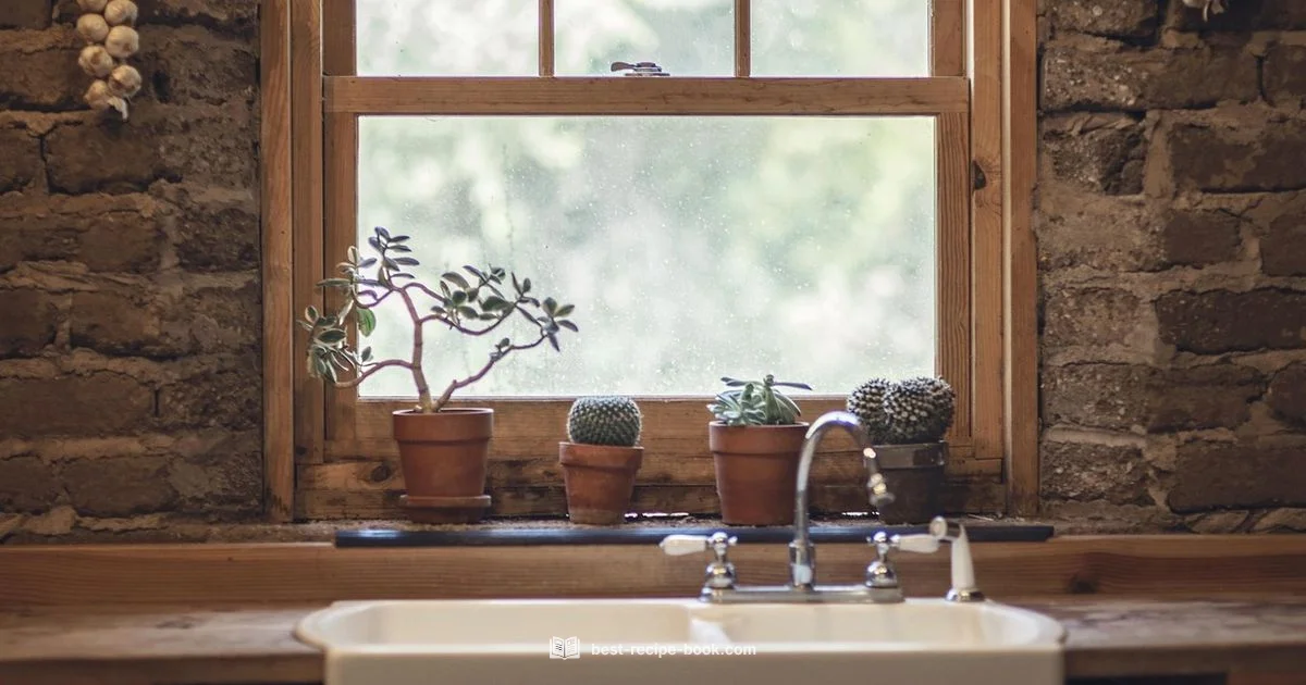 Find the Browser - Best Recipe Book