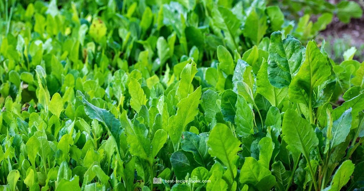 Creamed Spinach Guide - Best Recipe Book