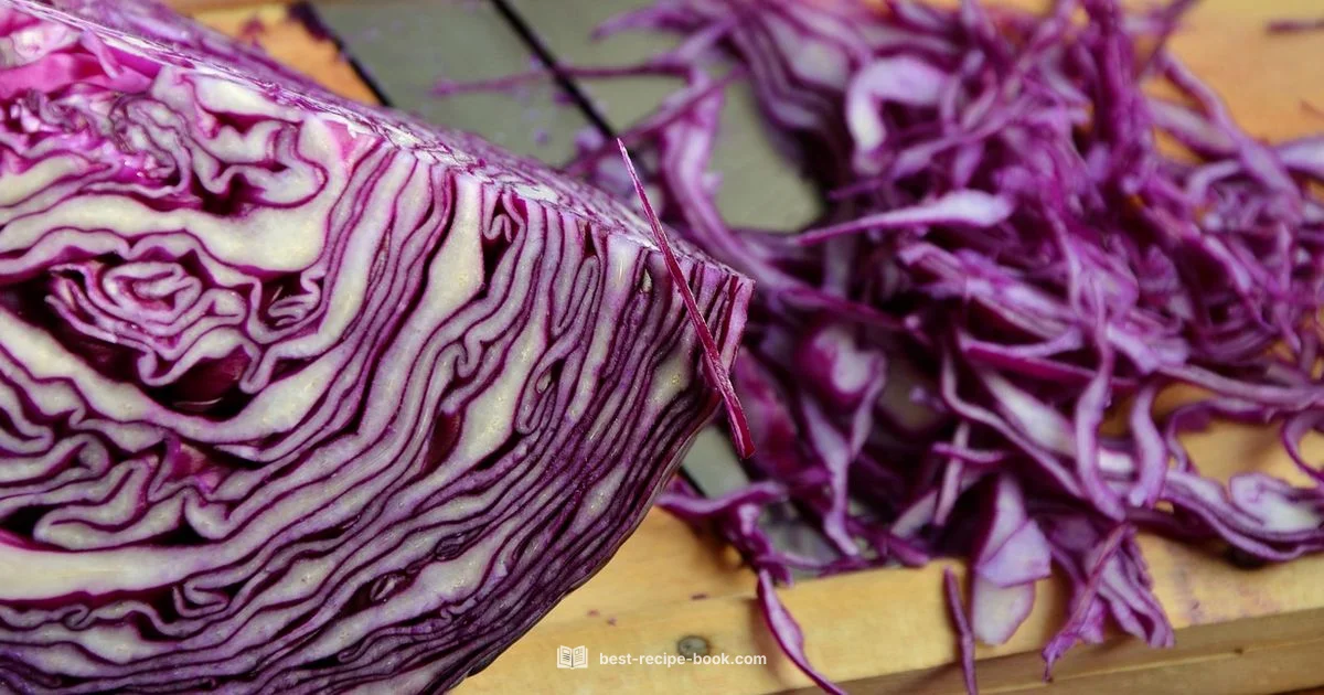 Cabbage Cooking Guide - Best Recipe Book