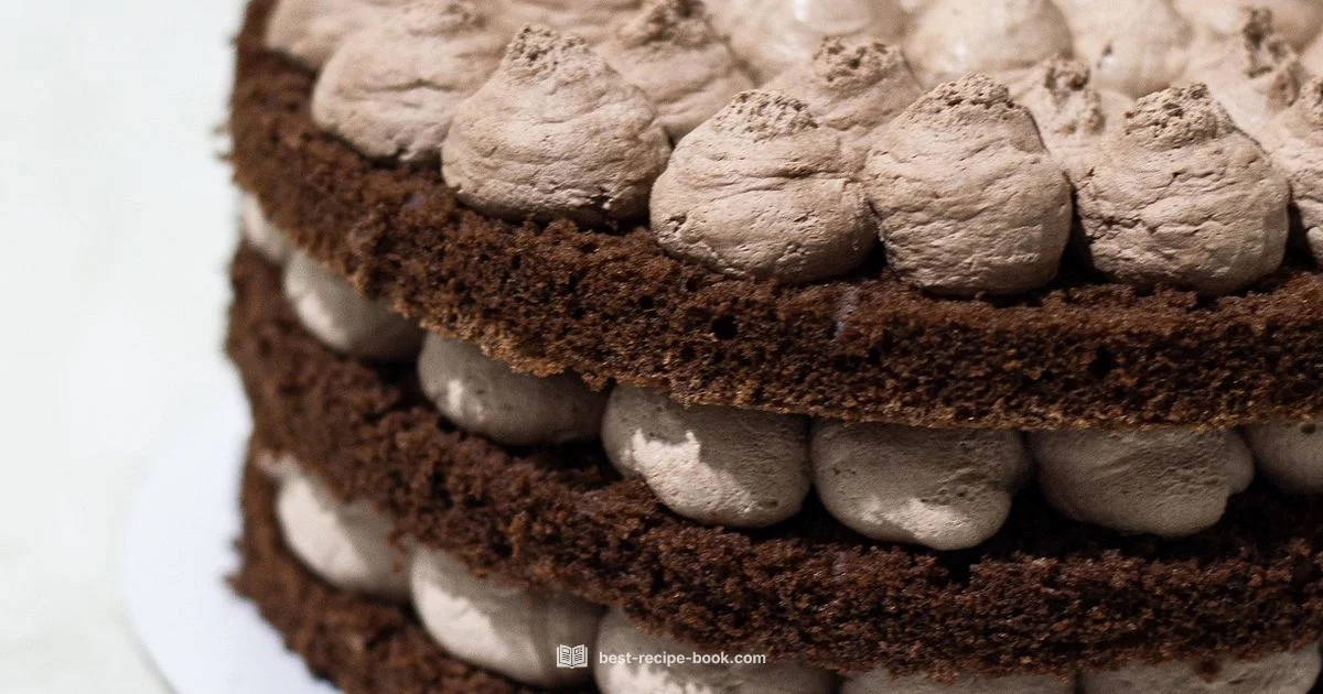 Chocolate Cake Guide - Best Recipe Book