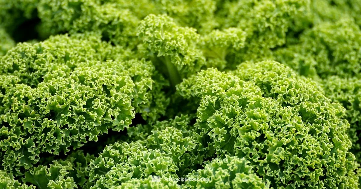 Kale Recipe Guide Kale Recipe Guide - Best Recipe Book