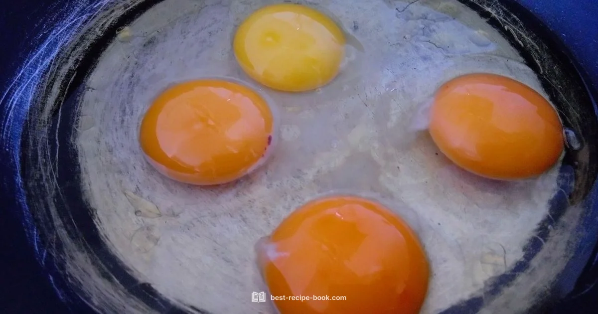 Stuffed Eggs Guide Stuffed Eggs Guide - Best Recipe Book