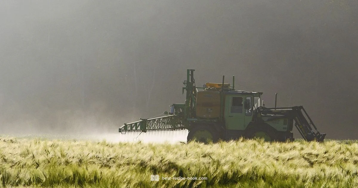 Eco-Friendly Weed Killer Eco-Friendly Weed Killer - Best Recipe Book