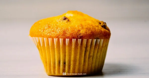 Chocolate Chip Muffins - Best Recipe Book