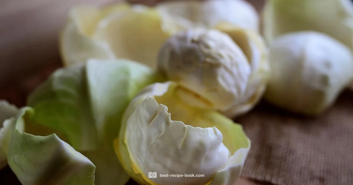 Cabbage Wrap Recipe Cabbage Wrap Recipe - Best Recipe Book