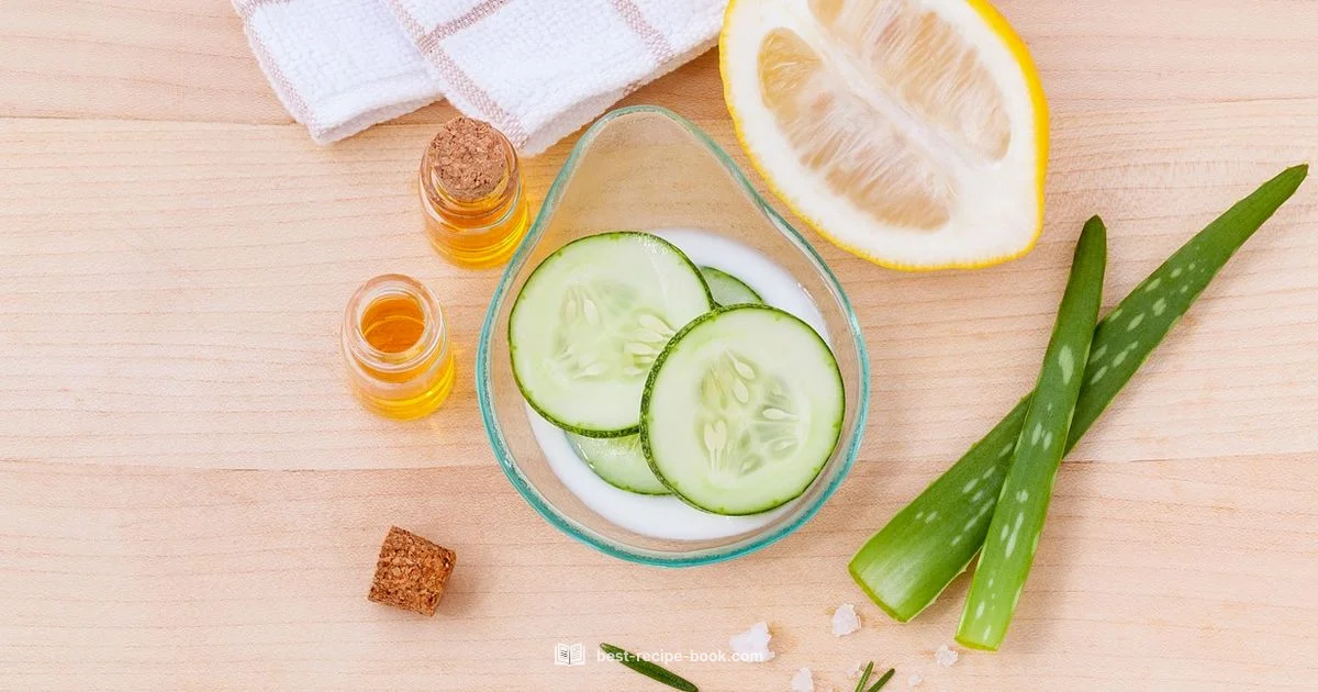 Daily Toner Guide - Best Recipe Book