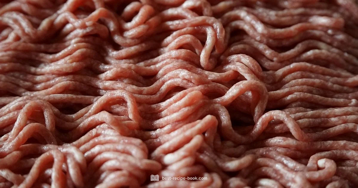 Minced Beef Roundup - Best Recipe Book