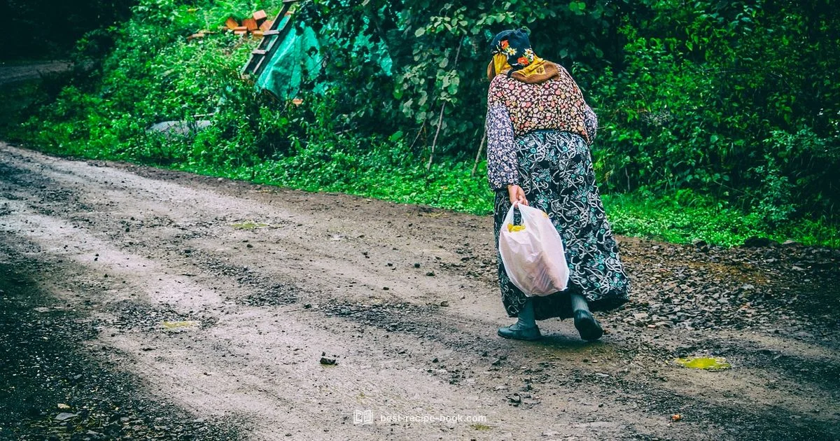 Recipes per day - Best Recipe Book