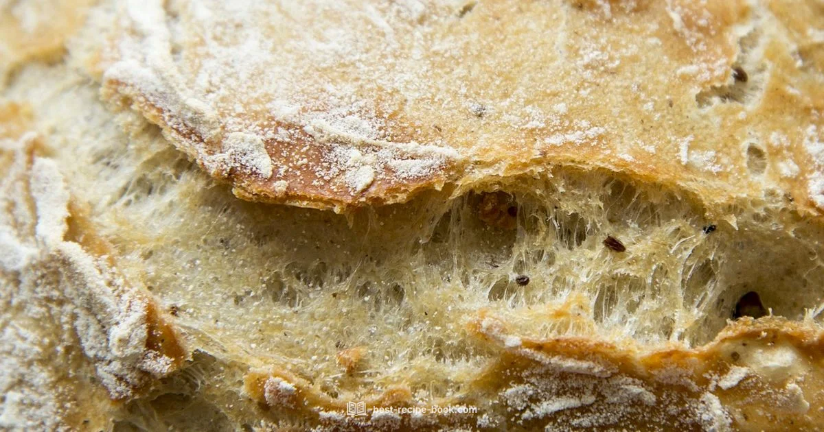 Homemade Bread Journey - Best Recipe Book