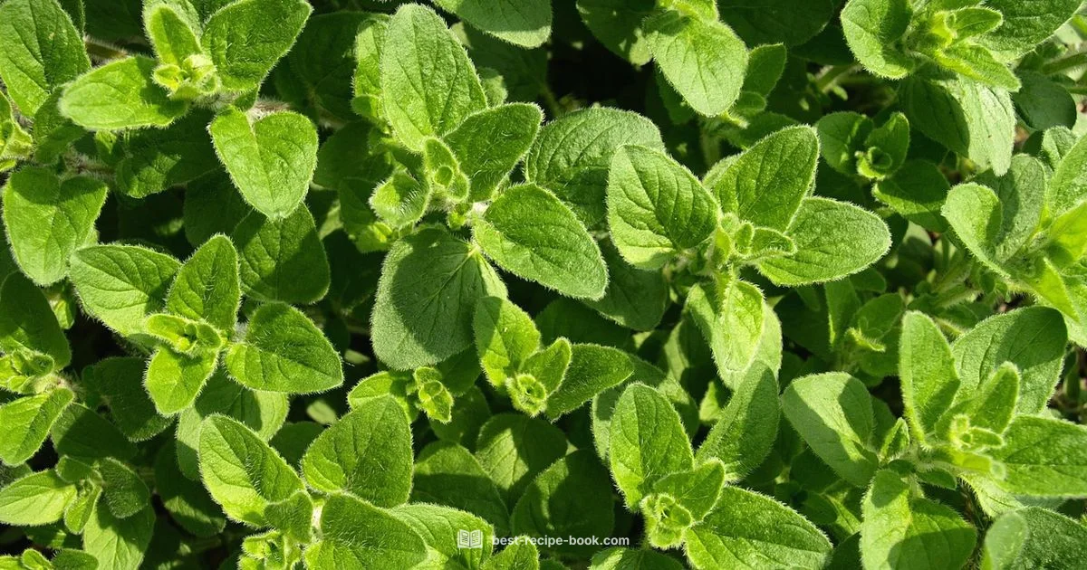 Juicy Greek Marinade - Best Recipe Book