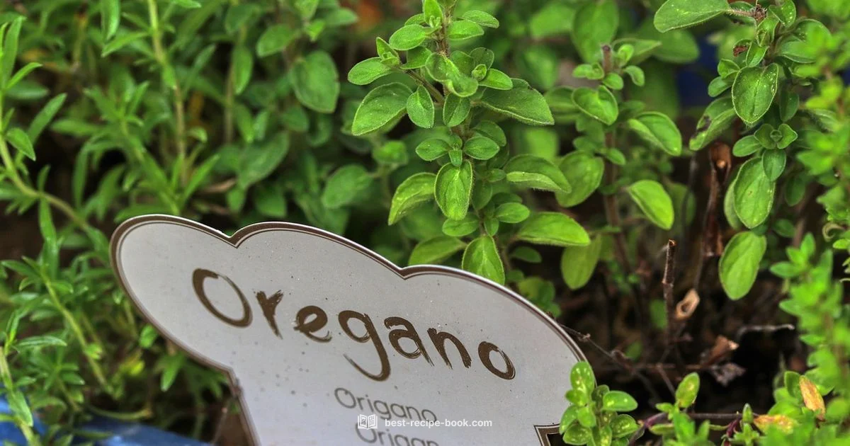 Natural Mounjaro Dish - Best Recipe Book