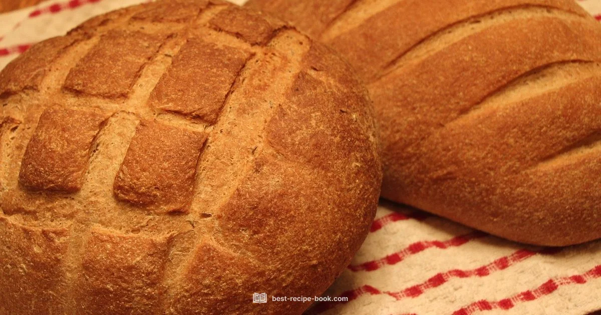 Bread Machine Guide - Best Recipe Book